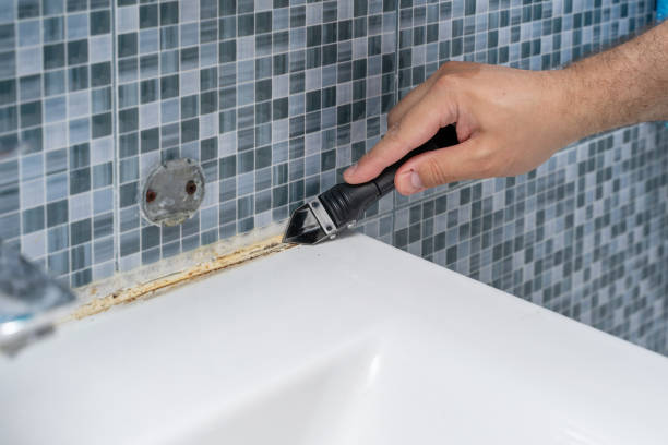 Best Toxic Mold Removal  in Oakdale, LA