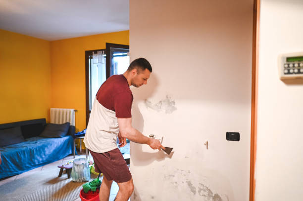 Best Attic Mold Removal  in Oakdale, LA