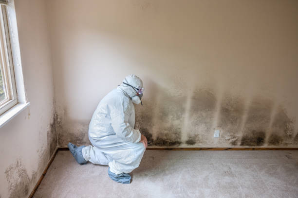 Oakdale, LA Mold Removal Company
