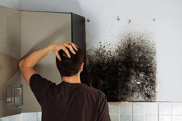 Best Mold Remediation  in Oakdale, LA