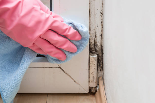 Water Damage Restoration in Oakdale, LA